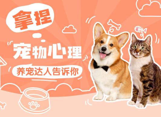 383c3dd521a0922006c0296587347ed.png 383c3dd521a0922006c0296587347ed.png